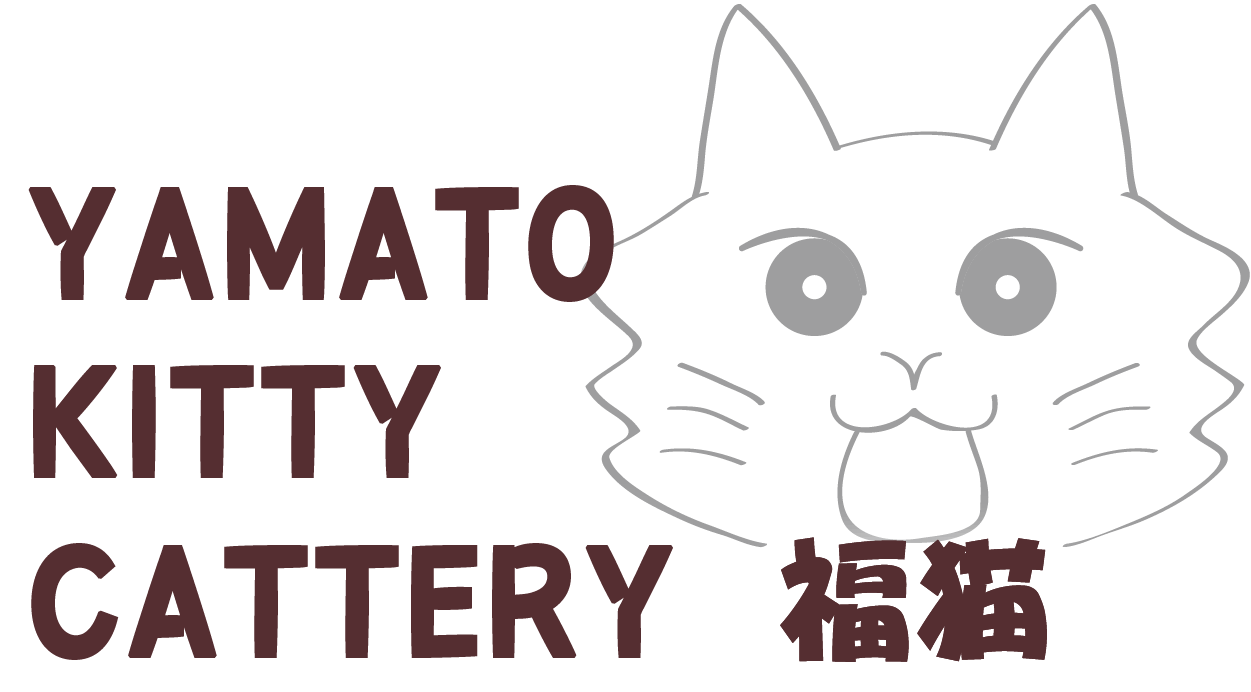 YAMATO KITTY CATTERY 福猫